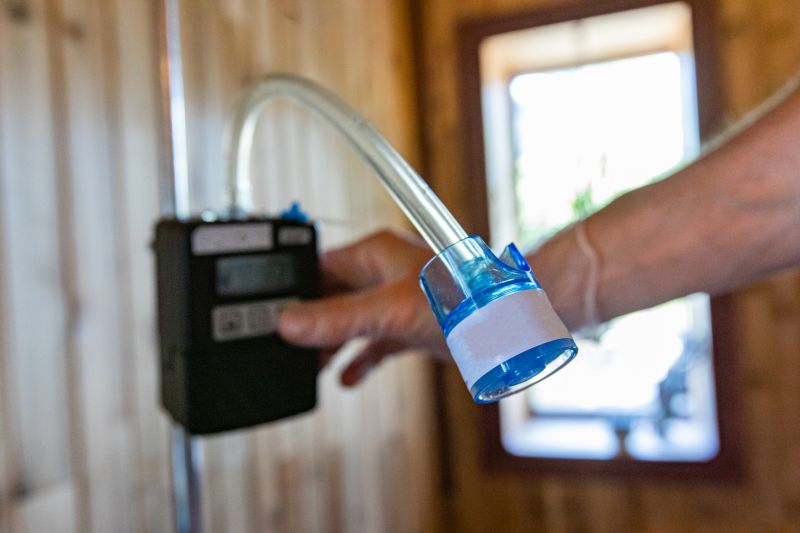 Mold Air Testing detail